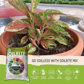 Best Potting Soil for Outdoor Plants | Keltech Energies