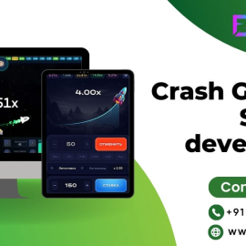 Professional Crash Gambling Software Development Services
