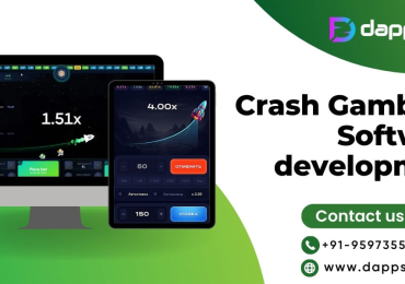 Professional Crash Gambling Software Development Services