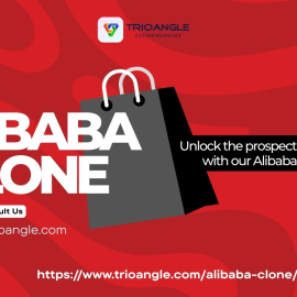 Launch Your Own Global B2B Marketplace with an Alibaba Clone