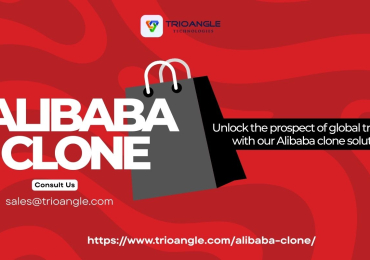 Launch Your Own Global B2B Marketplace with an Alibaba Clone