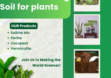 Top-Quality Soil Products for Perfect Gardening & Farming!