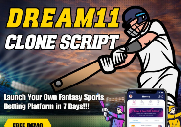 Kick-Start Your Own Fantasy Sports Betting Platform Like Dream11
