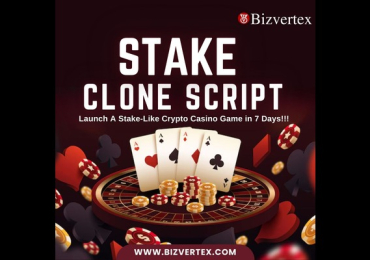 Tap into the Billion-Dollar Crypto Gambling Market with a Stake Clone Script