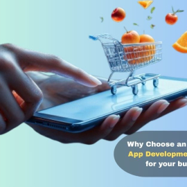 Why Choose an Ecommerce App Development Company for your business?