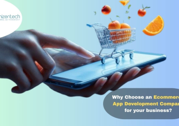 Why Choose an Ecommerce App Development Company for your business?