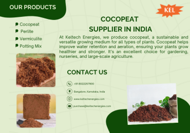 Trusted Manufacturer of Cocopeat for Plants