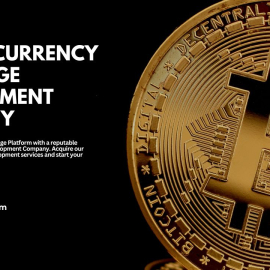 The Ultimate Guide to Choosing the Right Cryptocurrency Exchange Development Company