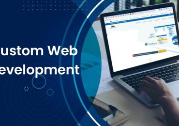 Transform Your Business with Custom Web Development Services