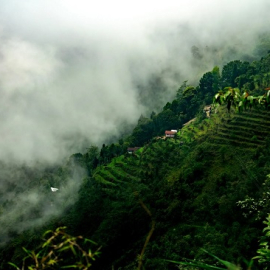 Explore Darjeeling: Best Tour Packages for Memorable Adventures
