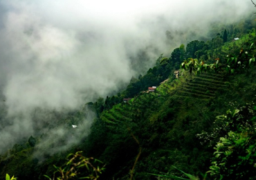 Explore Darjeeling: Best Tour Packages for Memorable Adventures