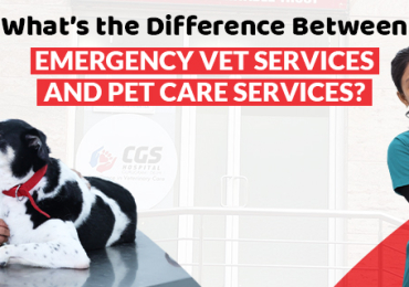 Pet Care Services | CGS Hospital
