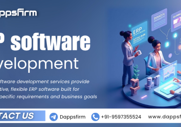 End-to-End ERP Software Development Services by Dappsfirm