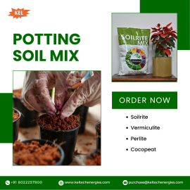 Potting Mix for Indoor Plants – Reliable and Effective