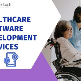 Healthcare Software Development Services