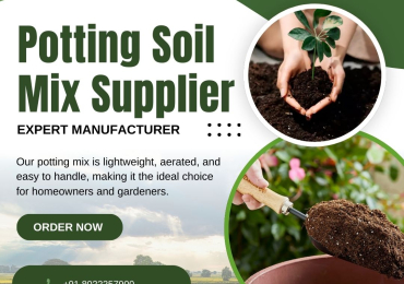 High-Quality Potting Mix for Indoor and Outdoor Gardening