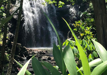 Book Hotel Rooms in Fiji | Naveria Heights Fiji