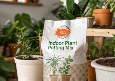 Indoor Plant Potting Mix Suppliers for Thriving Plants – Keltech Energies