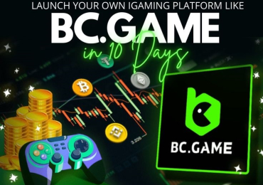 Start Your Casino Empire With Our Budget Friendly BC Game Clone Script