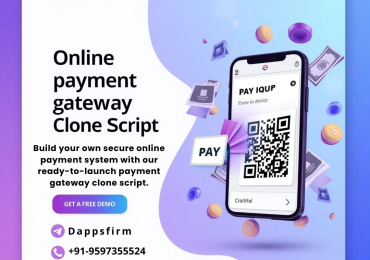 Deploy Payment Gateway Like Stripe & Razorpay – Secure Clone Script Ready