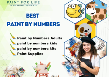 Paint by Numbers | Paint by Numbers for Adults & Kids