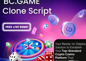Build a Custom Crypto Gaming Platform with Whitelabel BC.Game Clone