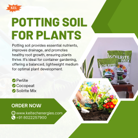 Potting Mix for Indoor & Outdoor Plants – Order Now for Best Gardening Products