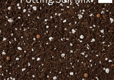 Potting Soil Online