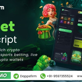 Rainbet Clone Software for Entrepreneurs – Build, Launch & Earn Big