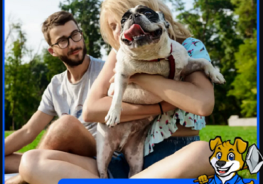 Hassle-Free Residential Pet Waste Removal Services