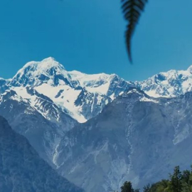 General visitor visa New Zealand