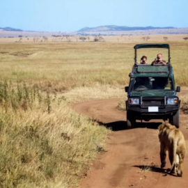 Tanzania Private Safari – Exclusive Adventures | Key2AfricaSafaris