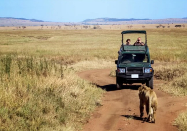 Tanzania Private Safari – Exclusive Adventures | Key2AfricaSafaris