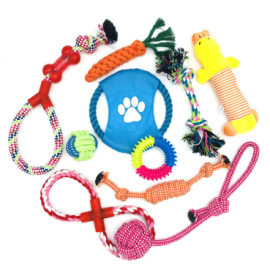 Important dog care items and travel gear to keep your pet happy and safe