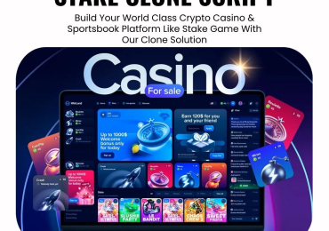 Launch a Next-Gen Casino Gaming Platform with Our Stake Clone Script!