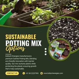 Enhance Your Indoor Garden with Soilrite Potting Mix – Perfect for Plants