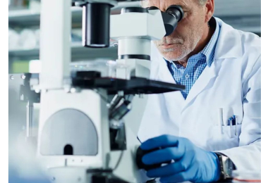 Comprehensive Mold Inspection and Testing Services in Oakland|Alameda Mold Guys