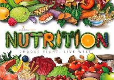 Transform Your Health with Simply Dina’s Expert Coaching