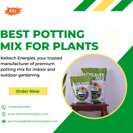 Get Soil for Plants Online – Perfect for Indoor and Outdoor Gardens