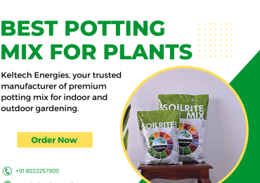 Get Soil for Plants Online – Perfect for Indoor and Outdoor Gardens