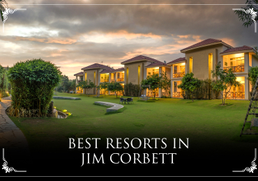 Best Resorts In Jim Corbett | Resort De Coracao