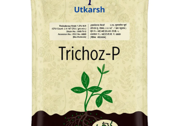 Buy Effective Bio Fungicide Online – Utkarsh Agrochem