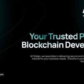 Blockchain Development Company for Custom Decentralized Applications