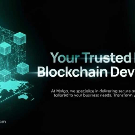 Trusted Blockchain Development Company for Custom Projects