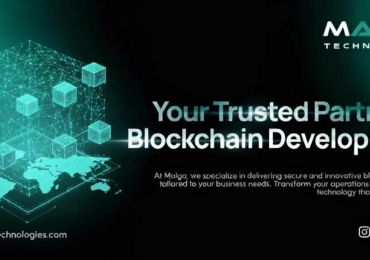 Trusted Blockchain Development Company for Custom Projects