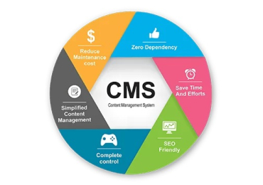 Power Your Website with Magnolia CMS