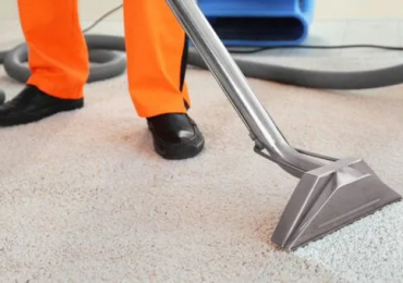 Professional Carpet Cleaners – Bringing Life Back to Your Carpets