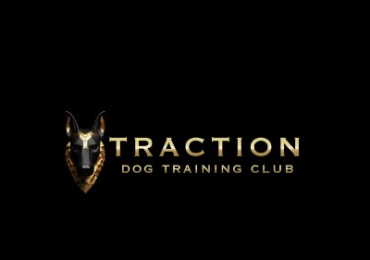 Traction Dog Training Club