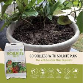 Ideal Soil Mixture for Plants – Potting soil Manufacturer in India