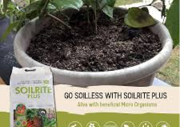 Ideal Soil Mixture for Plants – Potting soil Manufacturer in India